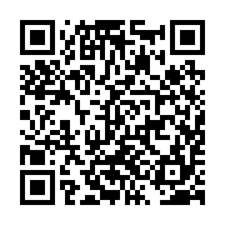 QR code for DSA294