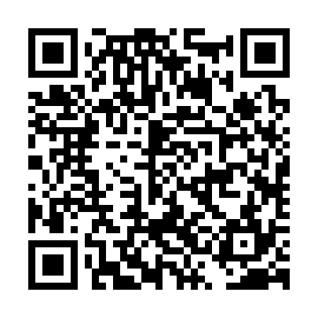 QR code for DSB334