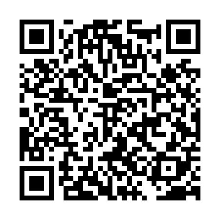 QR code for DSDN08