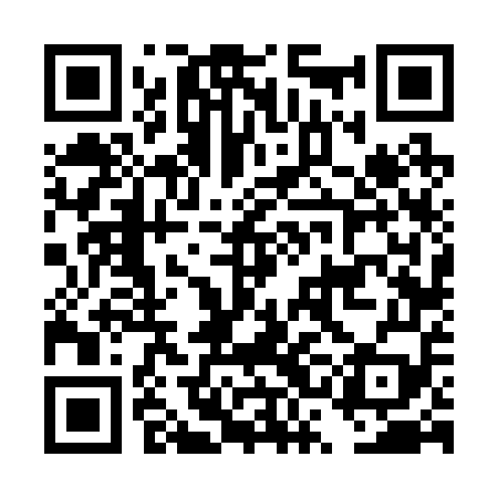 QR code for DSF259