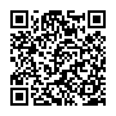 QR code for DSM445