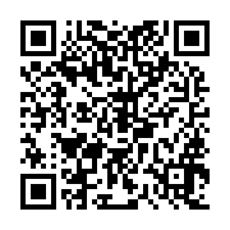 QR code for DSMI96