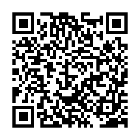QR code for DSN353