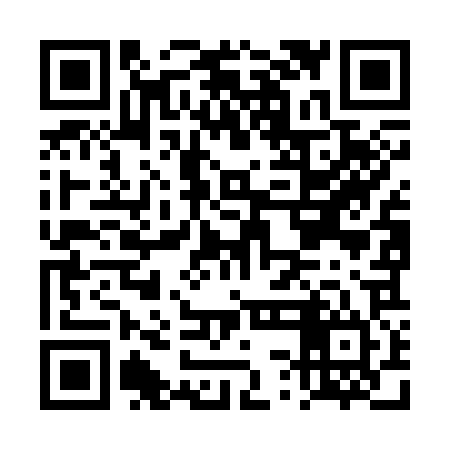 QR code for DSOC24
