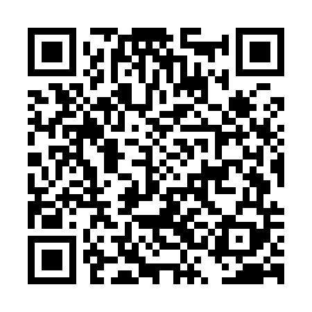 QR code for DSOI49