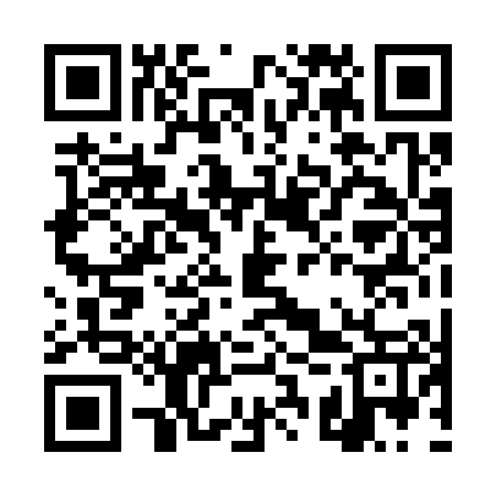 QR code for DSP307