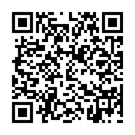 QR code for DSPY13