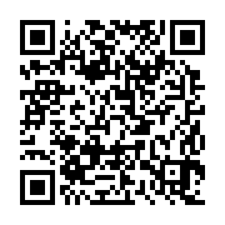 QR code for DSR383