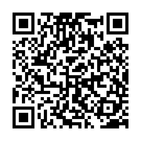 QR code for DSRR49