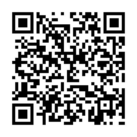 QR code for DSX308