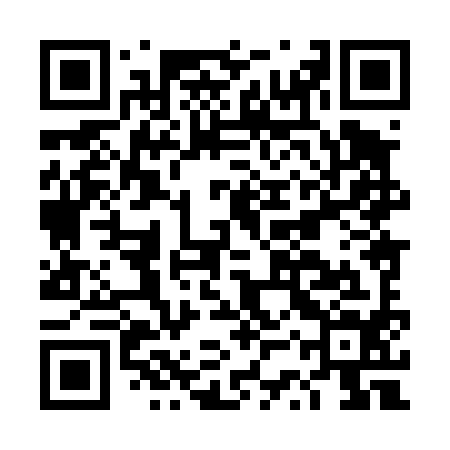 QR code for DSX494