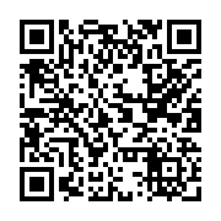 QR code for DSZI22
