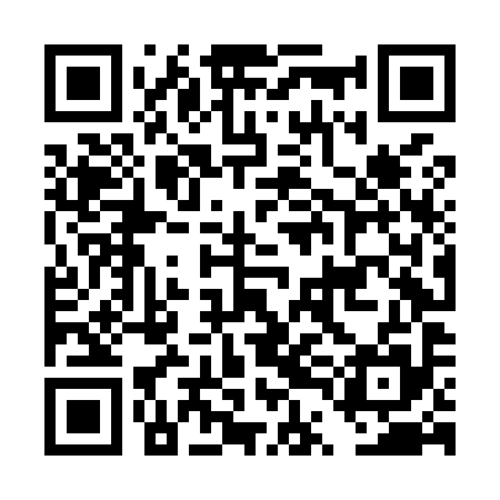 QR code for DTLM95