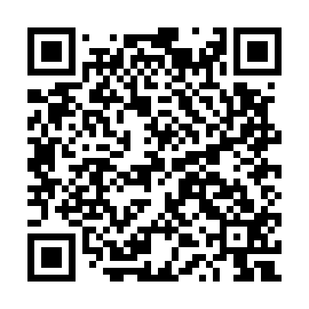 QR code for DTPE13