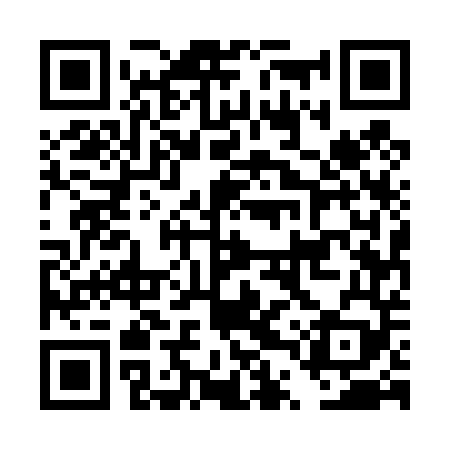 QR code for DTU449