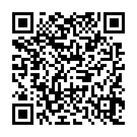 QR code for DUL737