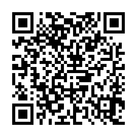 QR code for DUNE95