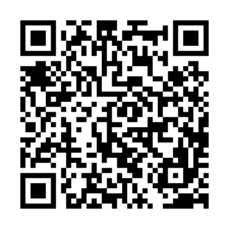 QR code for DUP296