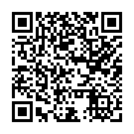 QR code for DUS971