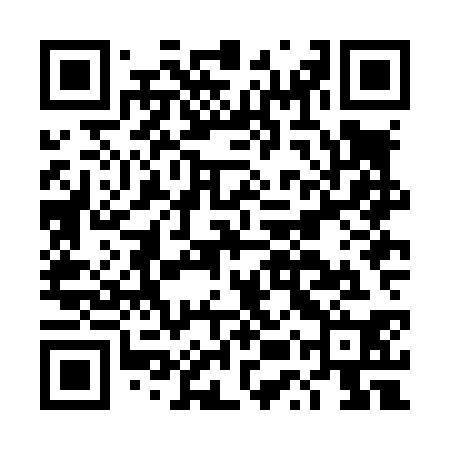 QR code for DUZL30
