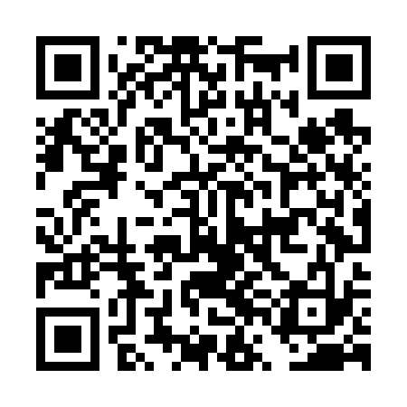 QR code for DVLF33