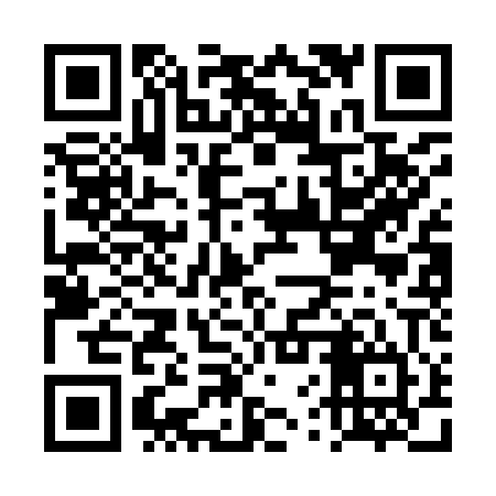 QR code for DVSI04