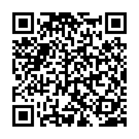 QR code for DVSR29