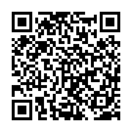 QR code for DVX250