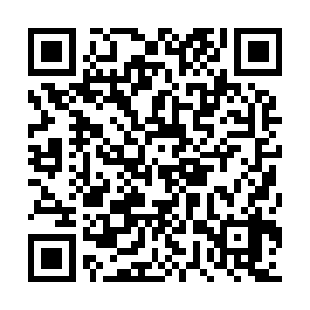QR code for DWP938