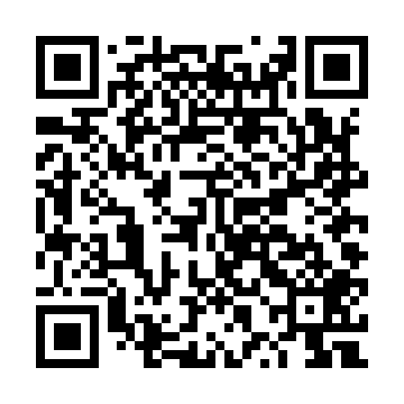 QR code for DXDI09