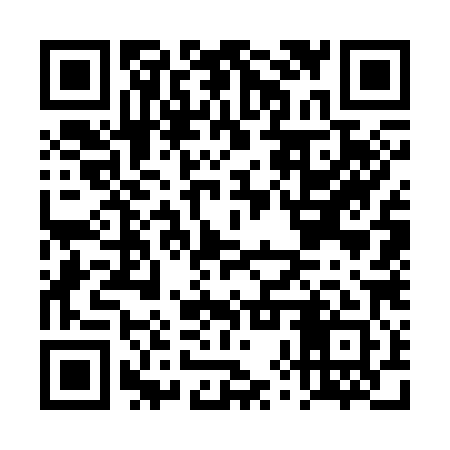 QR code for DXW381
