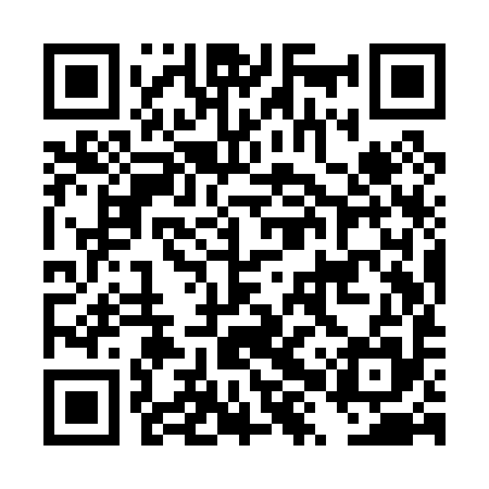 QR code for DXYP95