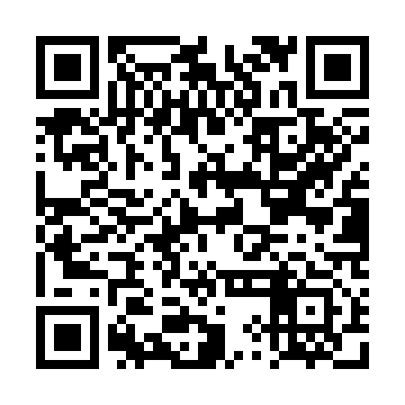 QR code for DYDS13
