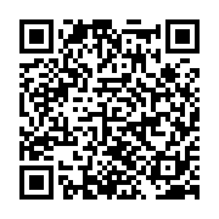 QR code for DYG911