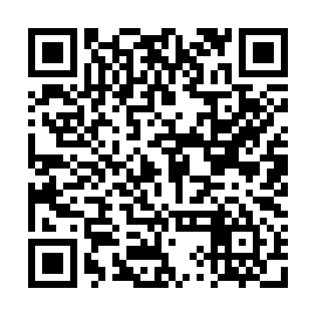 QR code for DYI395