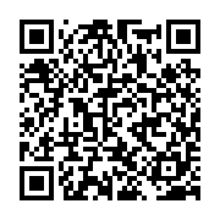 QR code for DYU295