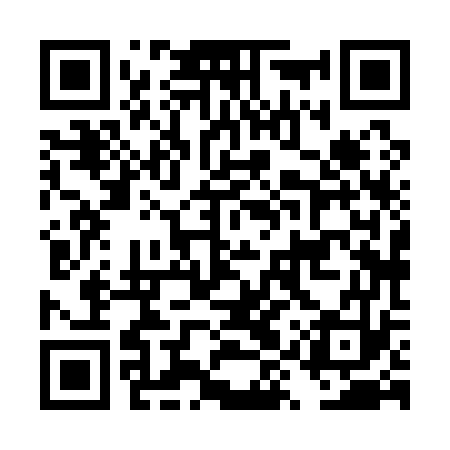 QR code for DYX173