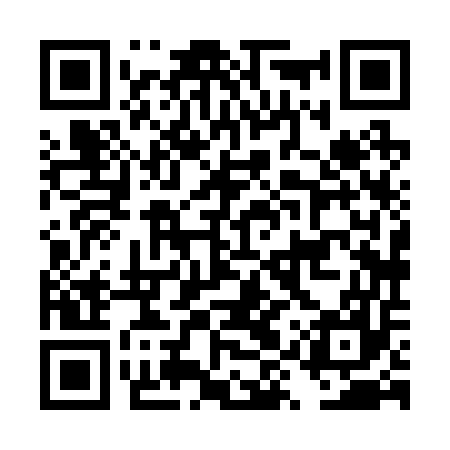 QR code for DYX257
