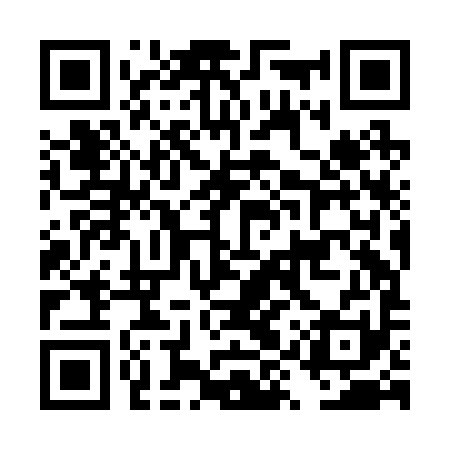 QR code for DYZB91