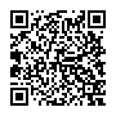 QR code for DZD133