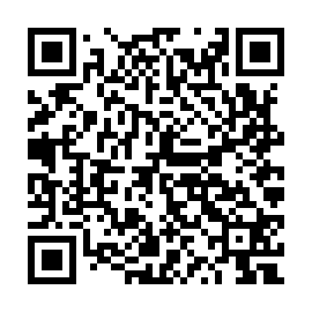 QR code for DZFI20
