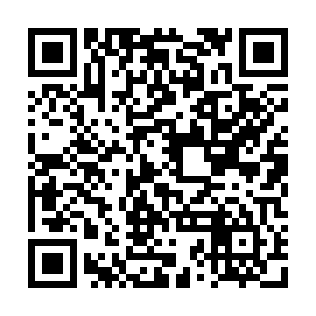 QR code for DZL305