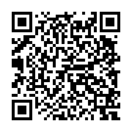 QR code for DZL400