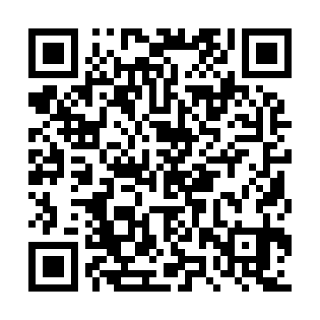 QR code for DZQ931