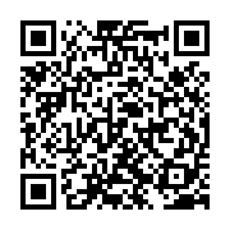 QR code for DZQL58