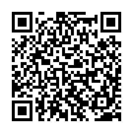 QR code for DZR294