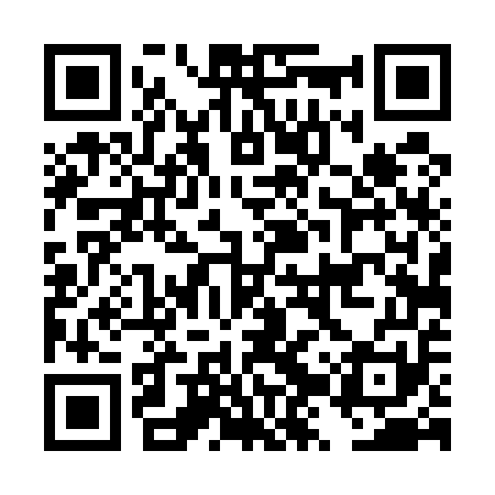 QR code for DZT551