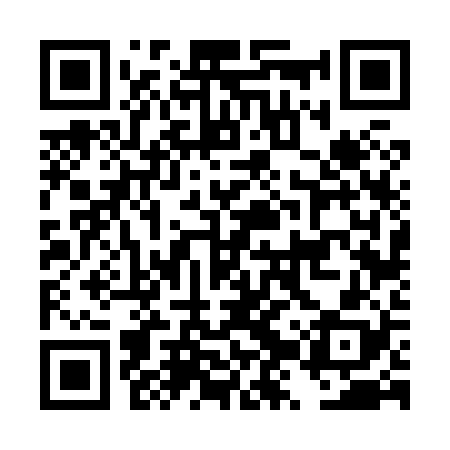 QR code for DZV828