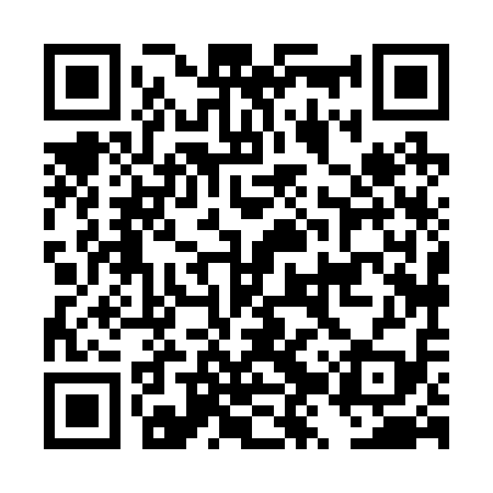 QR code for DZX219