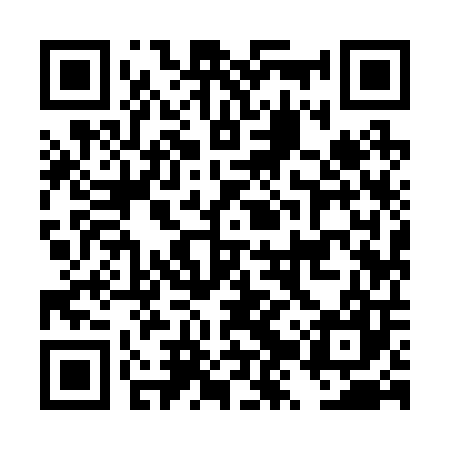 QR code for DZY207